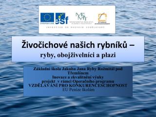 Živočichové našich rybníků – ryby, obojživelníci a plazi