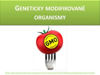 Geneticky modifikované organismy
