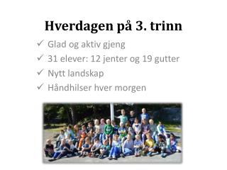 Hverdagen på 3. trinn