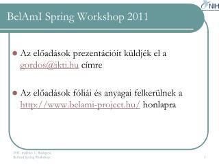 BelAmI Spring Workshop 2011