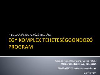 EGY KOMPLEX TEHETESÉGGONDOZÓ PROGRAM