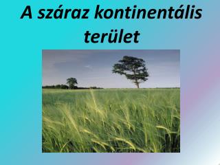 A száraz kontinentális terület
