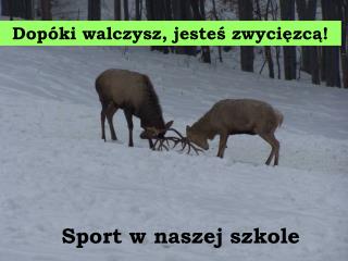 Sport w naszej szkole