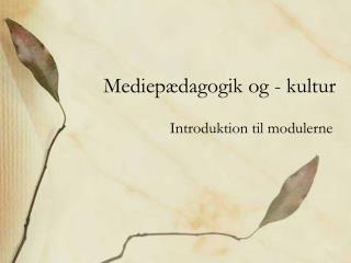 Mediepædagogik og - kultur