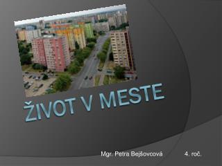 Život v meste