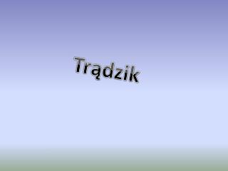 Trądzik