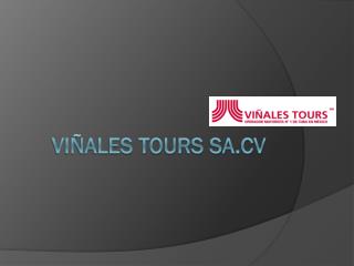 Viñales tours sa.cv