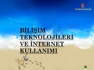BİLİŞİM TEKNOLOJİLERİ VE İNTERNET KULLANIMI