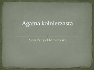 Agama kołnierzasta