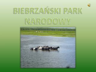 BIEBRZAŃSKI PARK NARODOWY