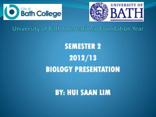 University of Bath International Foundation Year