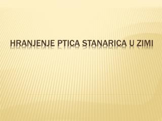 HRANJENJE PTICA STANARICA U ZIMI