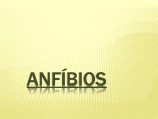 ANFÍBIOS