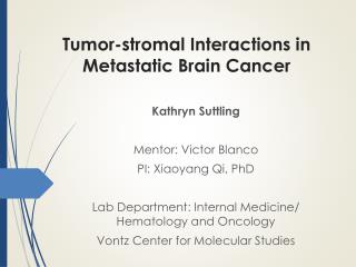 Tumor-stromal Interactions in Metastatic B rain C ancer