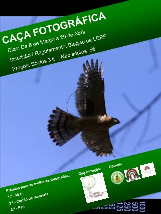 Prémios para as melhores fotografias: 1.º - 30 € 2.º - Cartão de memória 3.º - Pen