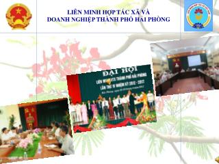 LIÊN MINH HỢP TÁC XÃ VÀ DOANH NGHIỆP THÀNH PHỐ HẢI PHÒNG