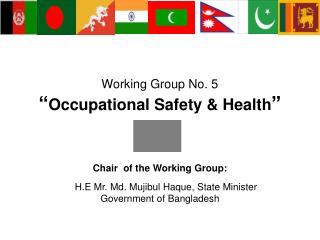 Working Group No. 5 “ Occupational Safety &amp; Health ”