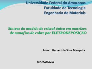 Universidade Federal do Amazonas Faculdade de Tecnologia Engenharia de Materiais