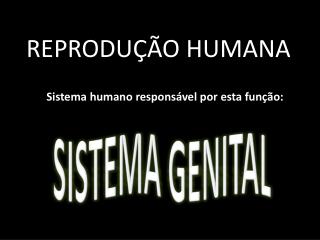 REPRODUÇÃO HUMANA