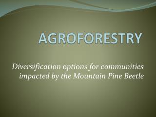 AGROFORESTRY