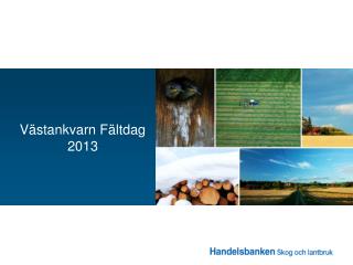 Västankvarn Fältdag 2013