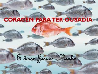 CORAGEM PARA TER OUSADIA