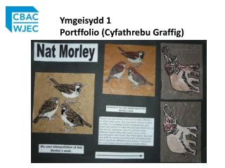 Ymgeisydd 1 Portffolio ( Cyfathrebu Graffig )