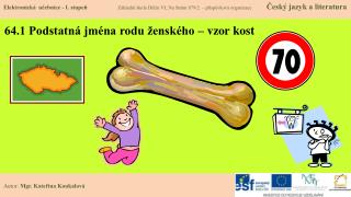 64.1 Podstatná jména rodu ženského – vzor kost