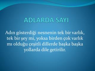 ADLARDA SAYI