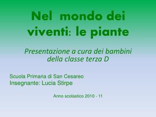 Nel mondo dei viventi: le piante