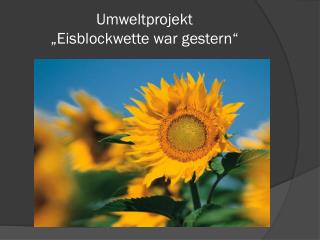 Umweltprojekt „Eisblockwette war gestern“