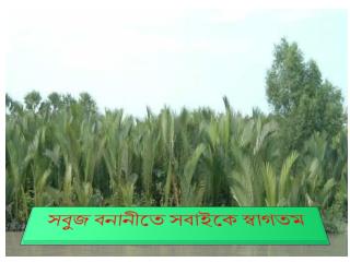 সবুজ বনানীতে সবাইকে স্বাগতম