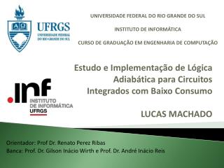 Orientador: Prof Dr. Renato Perez Ribas