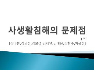 사생활침해의 문제점