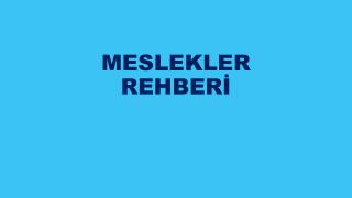 MESLEKLER REHBERİ