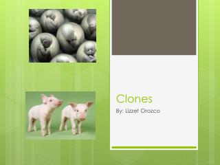 Clones