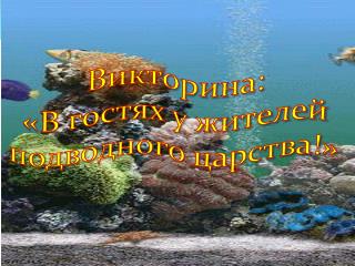 Викторина: «В гостях у жителей подводного царства!»