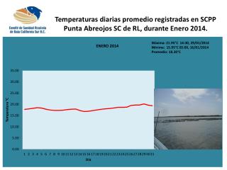 Temperaturas diarias promedio registradas en SCPP Punta Abreojos SC de RL, durante Enero 2014.