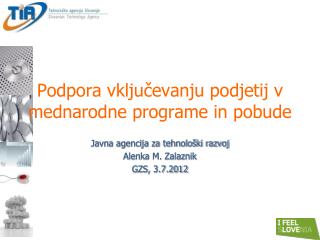 Podpora vključevanju podjetij v mednarodne programe in pobude