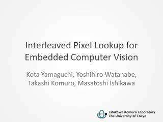 Interleaved Pixel Lookup for Embedded Computer Vision