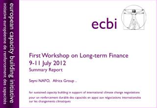 First Workshop on Long-term Finance 9-11 July 2012 Summary Report Seyni NAFO, Africa Group ..