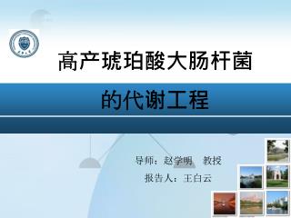高产琥珀酸大肠杆菌 的代谢工程