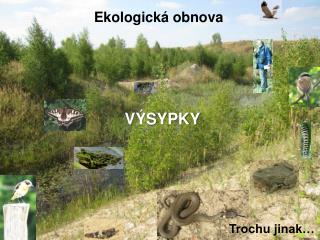 VÝSYPKY