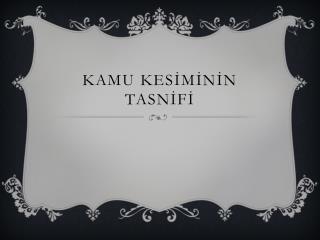 KAMU KESİMİNİN TASNİFİ