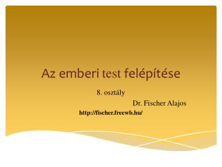 Az emberi test felépítése