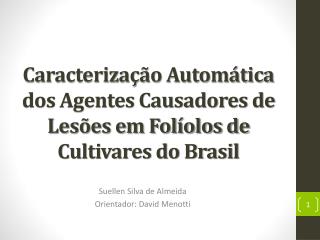 Caracterização Automática dos Agentes Causadores de Lesões em Folíolos de Cultivares do Brasil