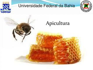 Apicultura