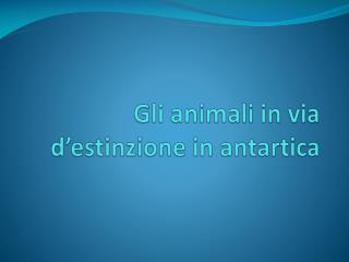 Gli animali in via d’ estinzione in antartica