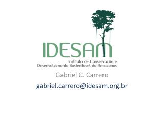 Gabriel C. Carrero g abrielrrero@idesam.br