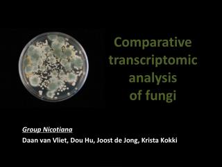 Comparative transcriptomic analysis of fungi